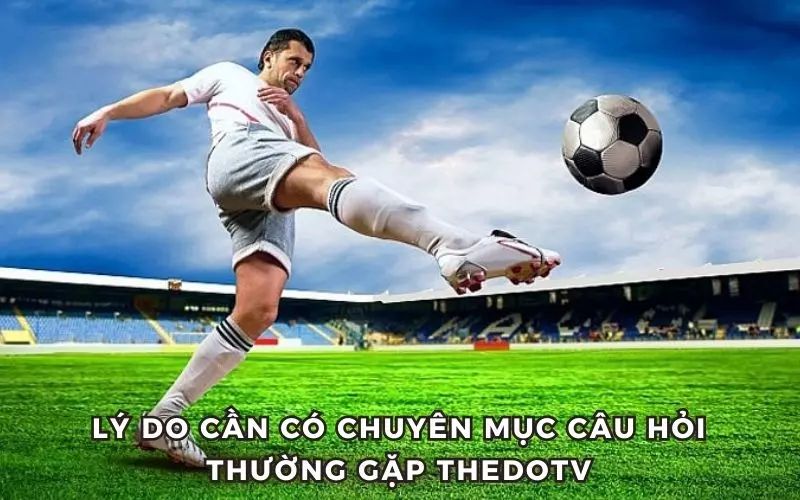 Lý do cần có chuyên mục câu hỏi thường gặp tại Thedotv