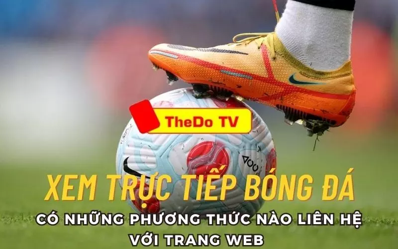 Có thể liên hệ với trang web qua nhiều phương thức liên hệ