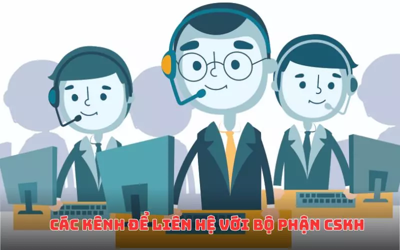 Kênh liên hệ chính thức của ThedoTV